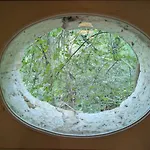 La Chacuniere De Labarthe Apartamento