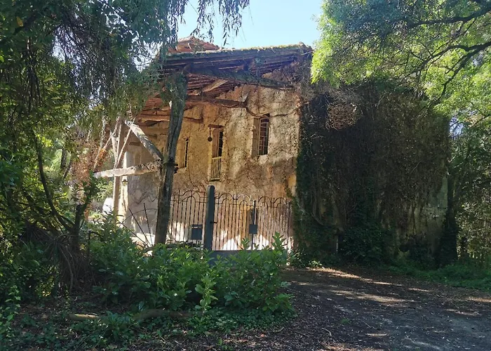 La Chacuniere De Labarthe Apartment *